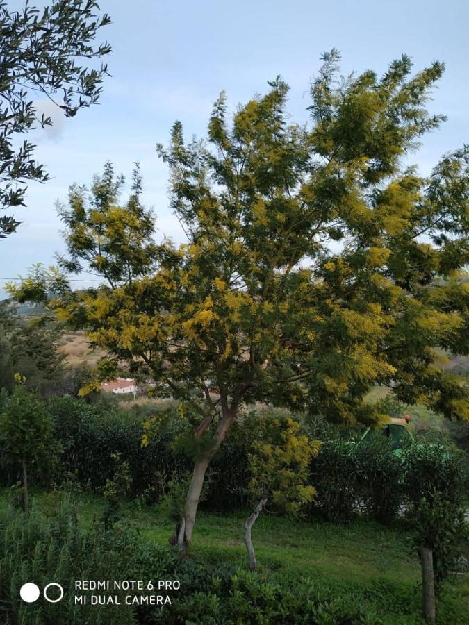 Monolocale Belvedere Su Porto Rotondo